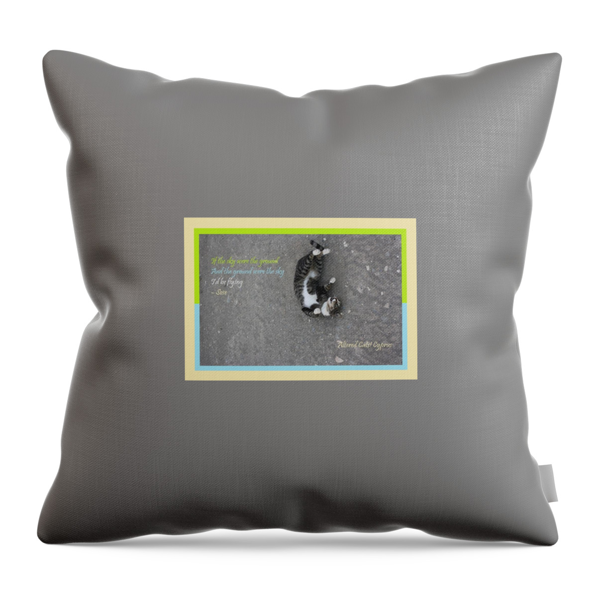 Cat Throw Pillow featuring the photograph Flying With Sose From the Park Altered Cats Cyprus by Anita Dale Livaditis