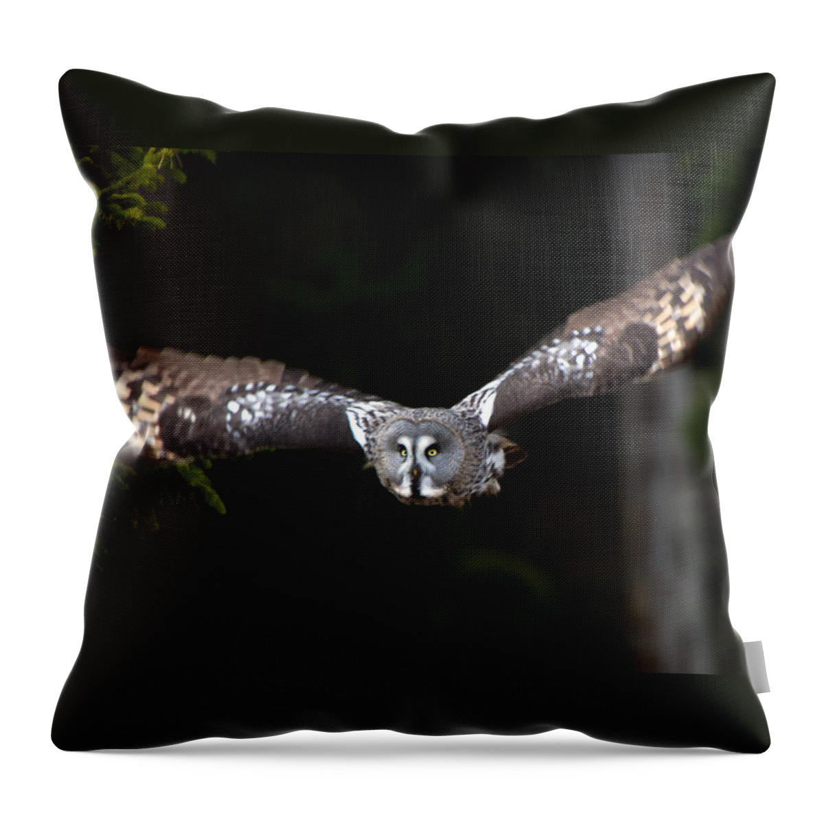 Flying Great Grey Owl Throw Pillow featuring the photograph Focus on the target by Torbjorn Swenelius