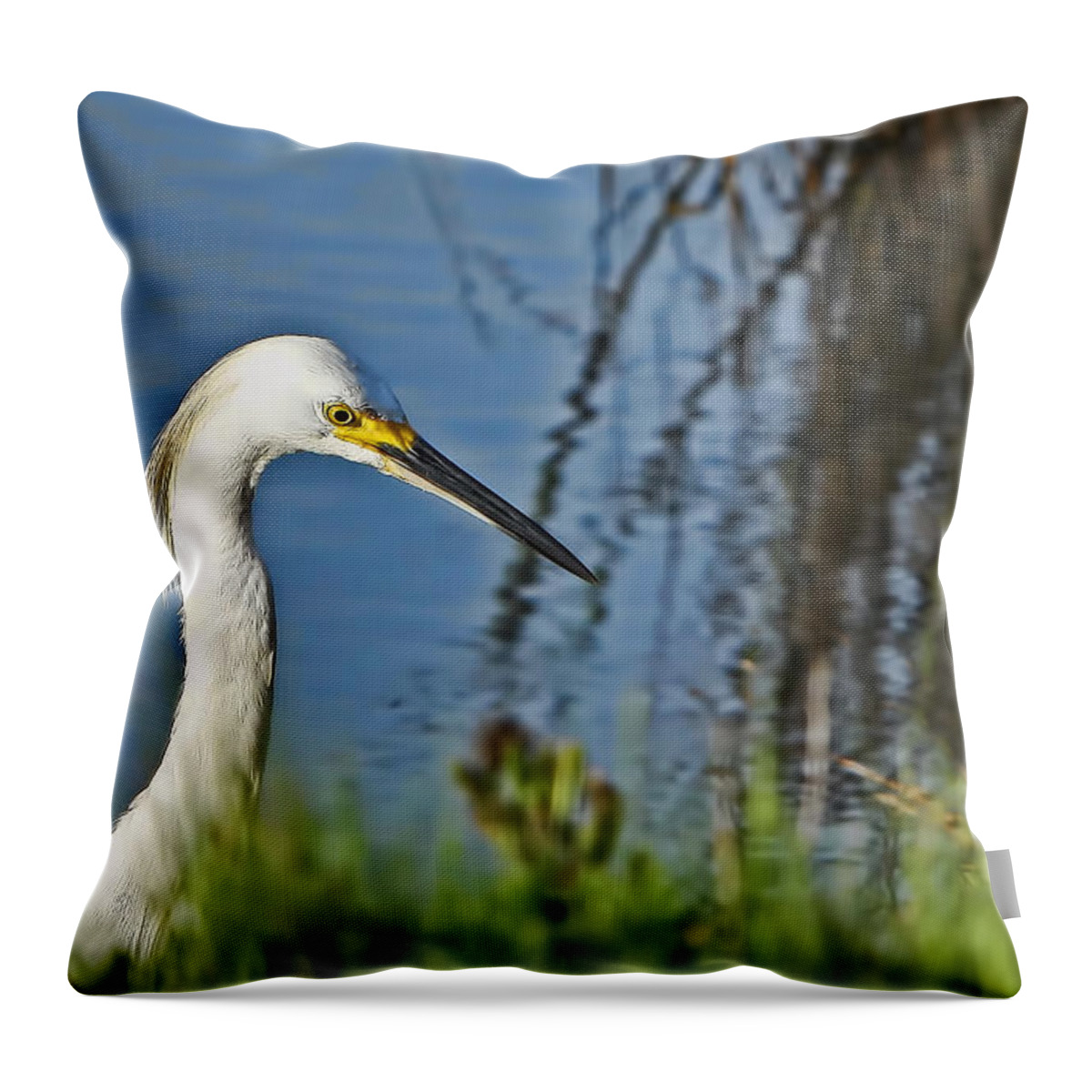 Island Throw Pillow featuring the photograph Focused by Gary Holmes