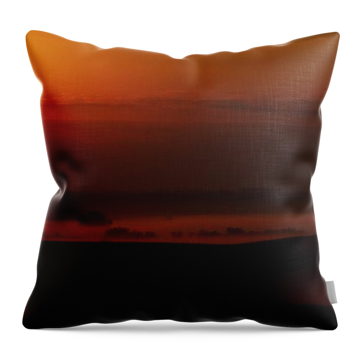 Photo Landscapes Throw Pillow featuring the photograph Fog at Sunrise by J L Zarek