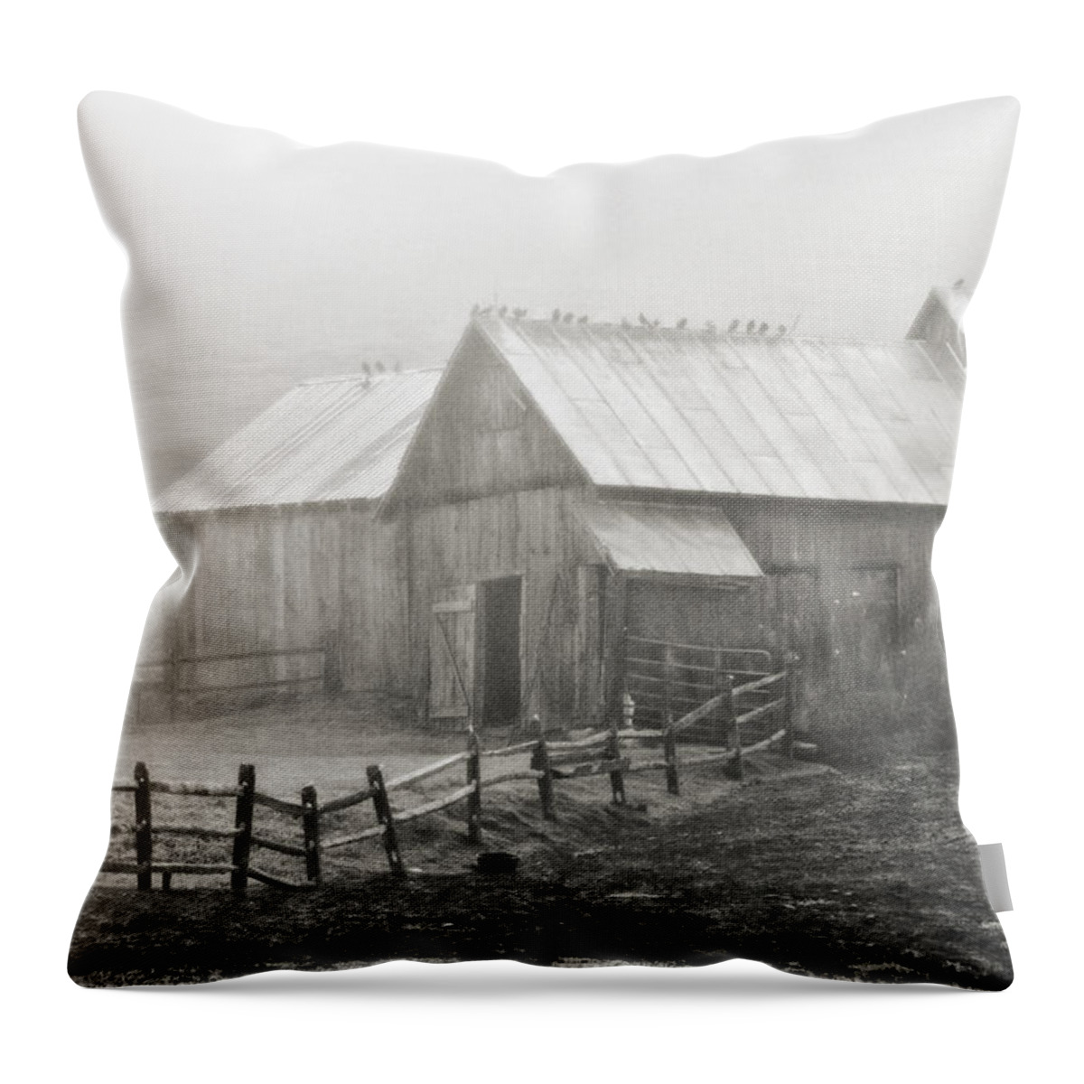 Flatlandsfoto Throw Pillow featuring the photograph Foggy Barn by Joan Davis