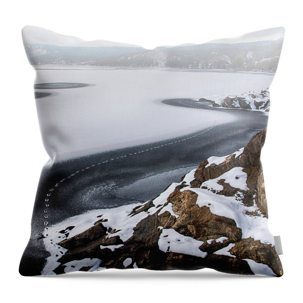 Nederland Throw Pillow featuring the photograph Foggy Ice Tracks by Bob Keller