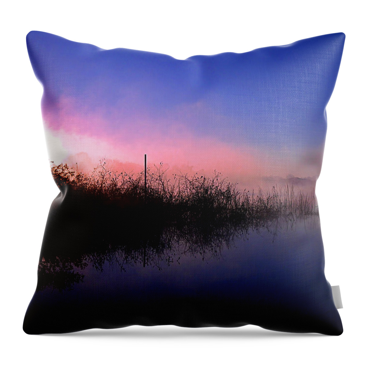 Landscape Throw Pillow featuring the photograph Foggy Lake Sears 000 by Christopher Mercer