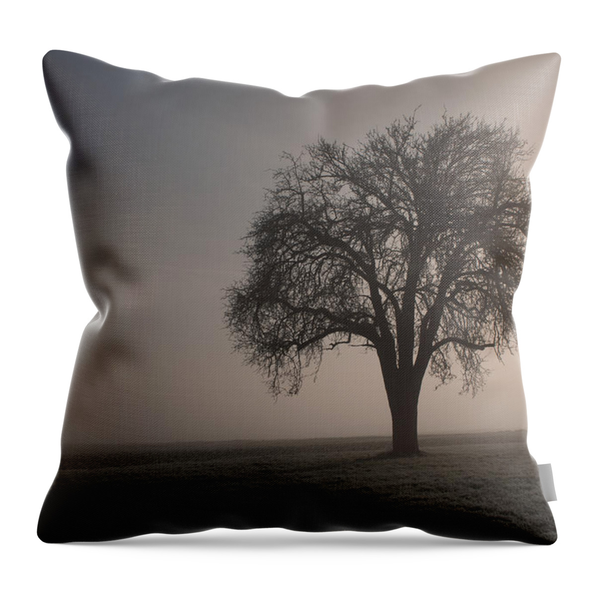 Sale Throw Pillow featuring the photograph Foggy Morning Sunshine by Miguel Winterpacht