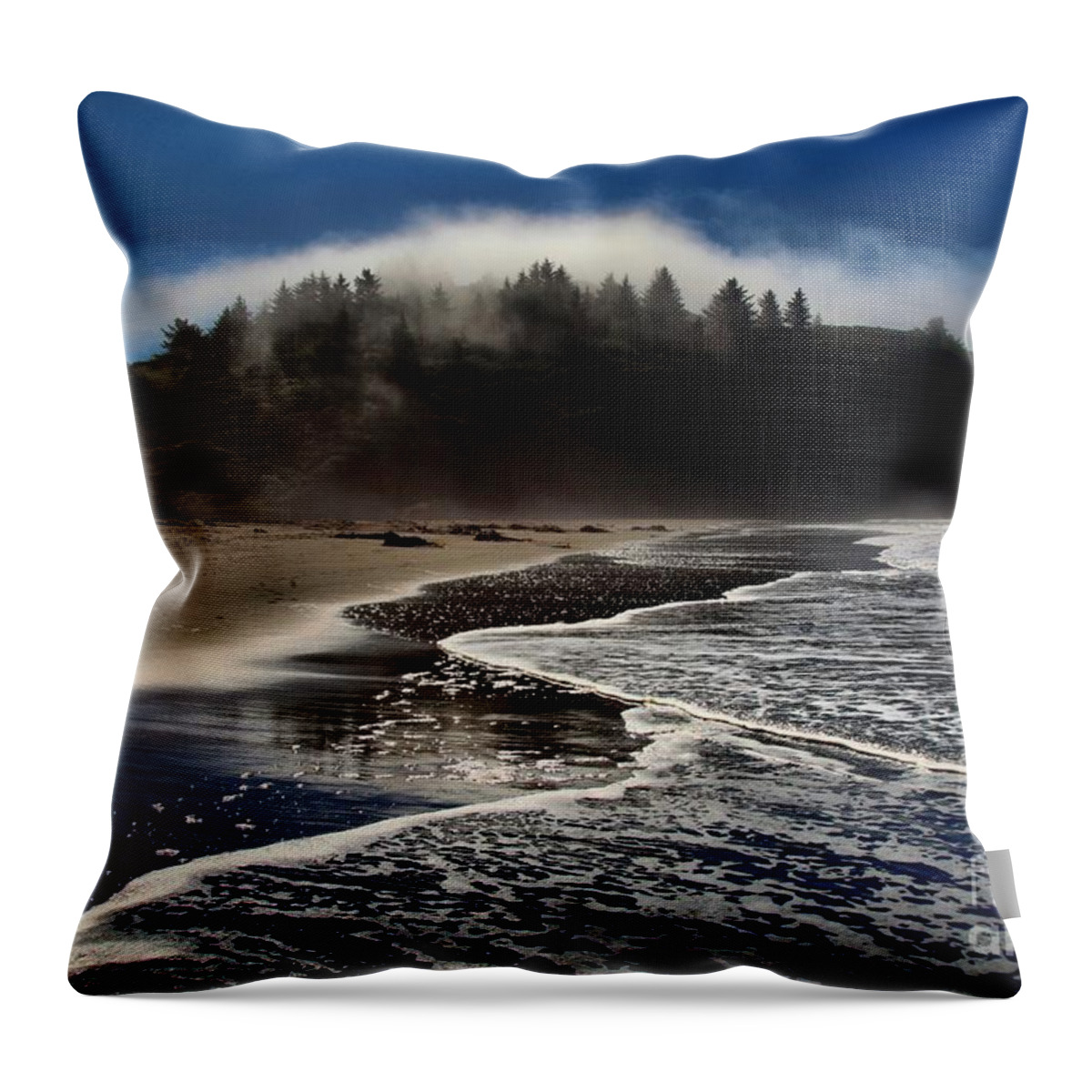 Trinidad Beach Throw Pillow featuring the photograph Foggy Pacific Reflections by Adam Jewell