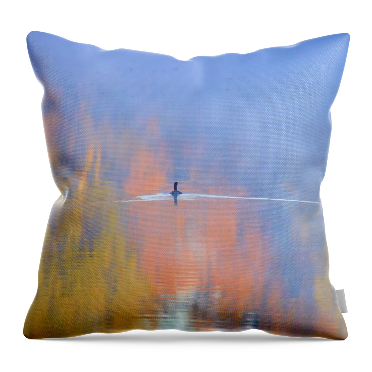 Pond Throw Pillow featuring the photograph Foggy Swim by Bonfire Photography