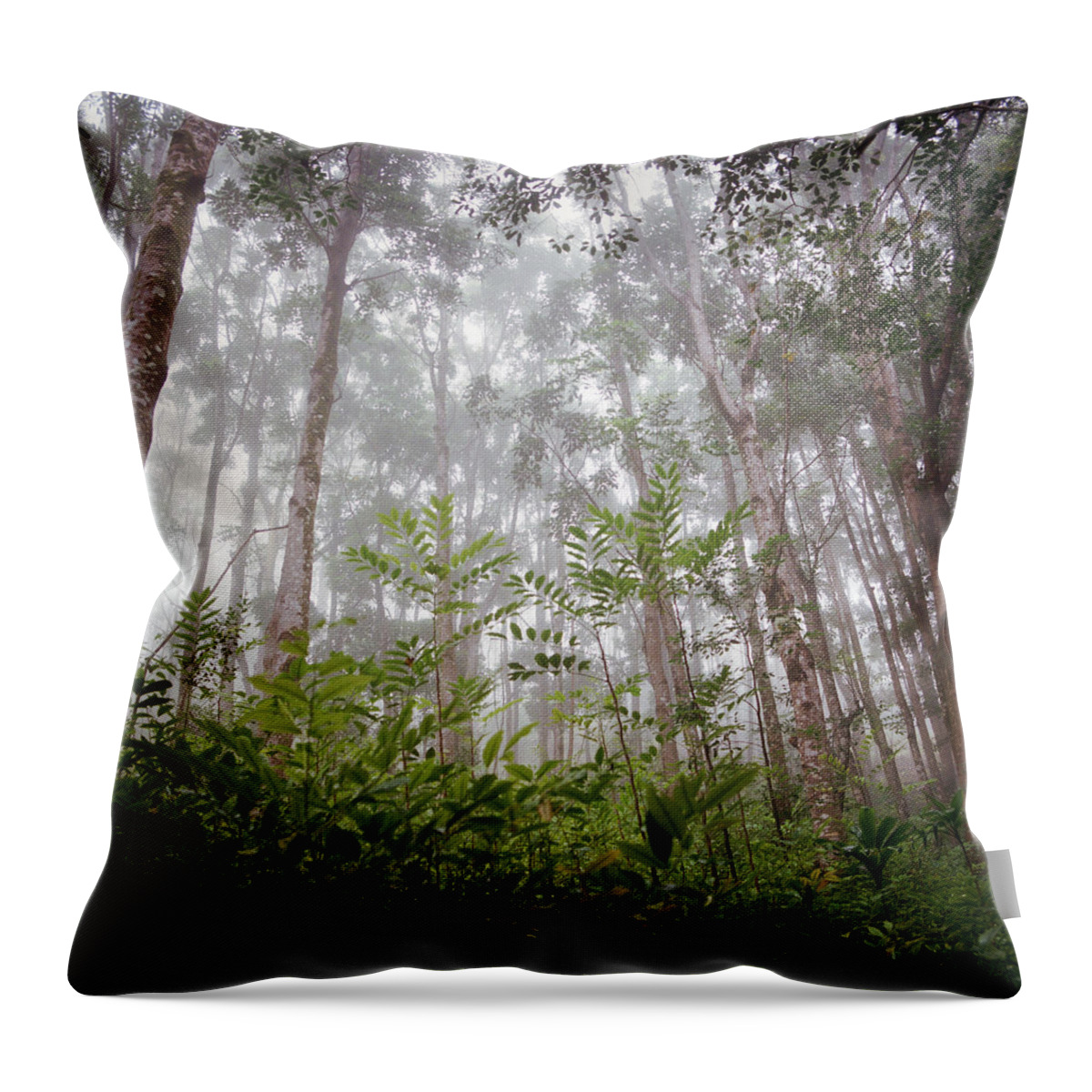 Outdoors Throw Pillow featuring the photograph Foggy Tropical Forest by Danielle D. Hughson