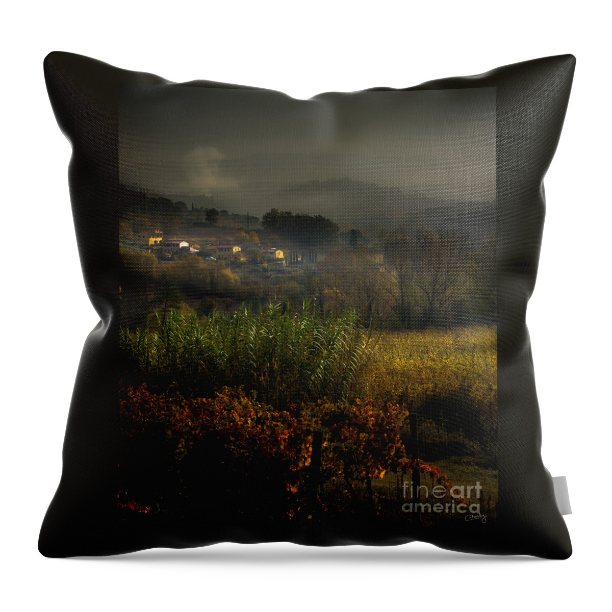 Airy Throw Pillow featuring the photograph Foggy Tuscan Valley by Prints of Italy