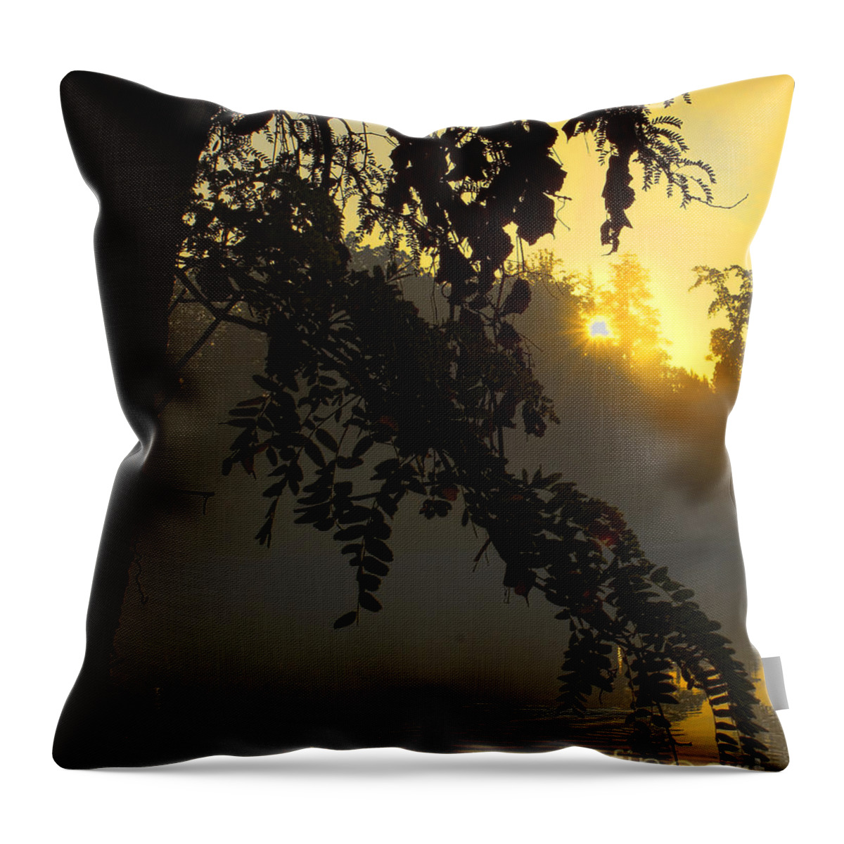 Image Throw Pillow featuring the photograph Foggy Waters by M Three Photos