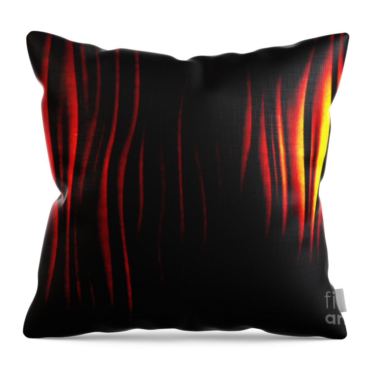 Fold Throw Pillow featuring the photograph Folds by Tim Townsend