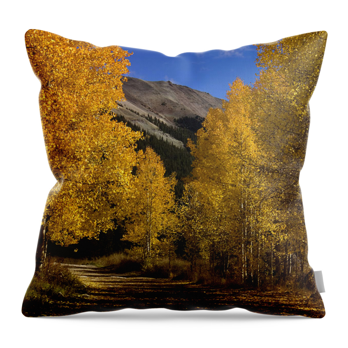 Colorado Throw Pillow featuring the photograph Follow the Gold by Ellen Heaverlo