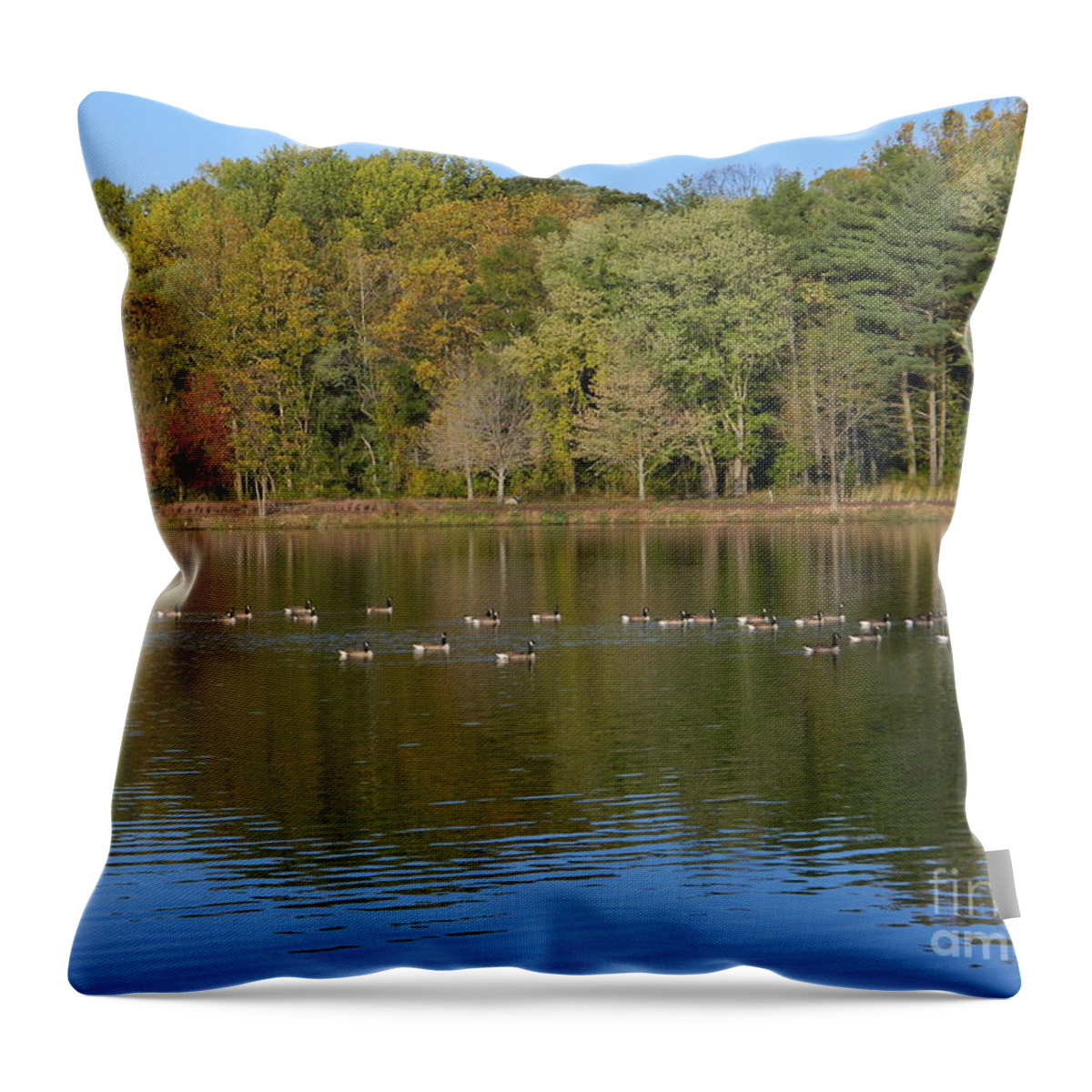Lake Photography Throw Pillow featuring the photograph Follow The Leader by Emmy Vickers