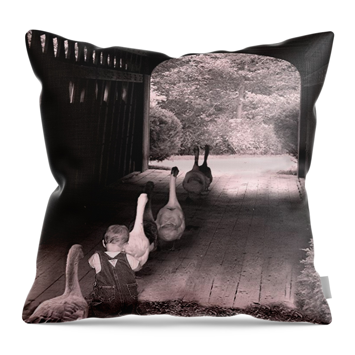 Photographic Landscapes Throw Pillow featuring the photograph Follow the Leader by Mary Lou Chmura