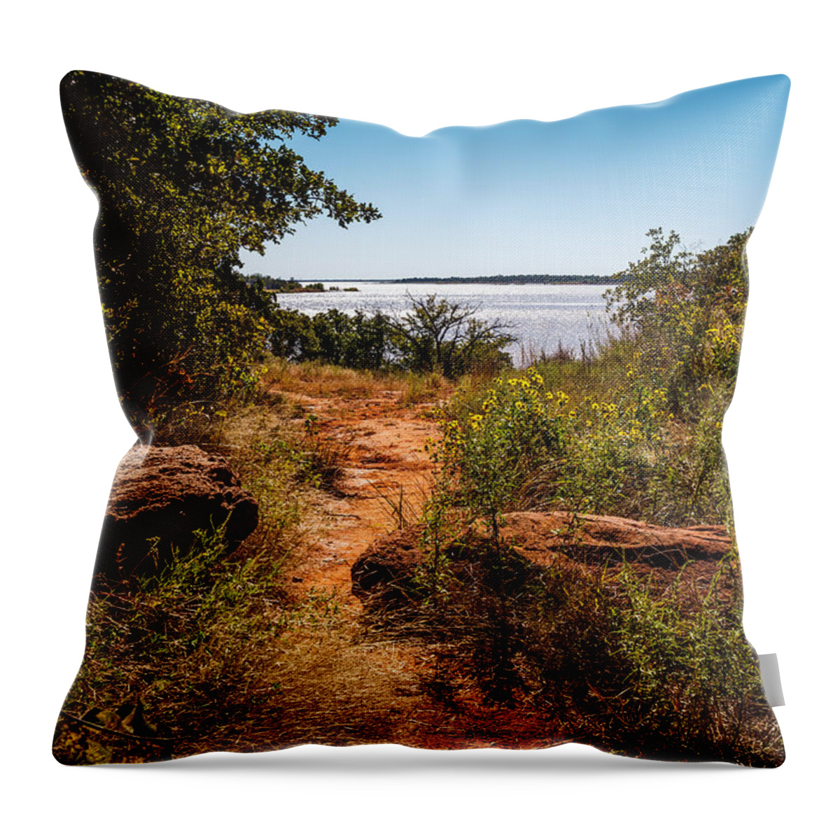 Green Throw Pillow featuring the photograph Follow The Path by Doug Long