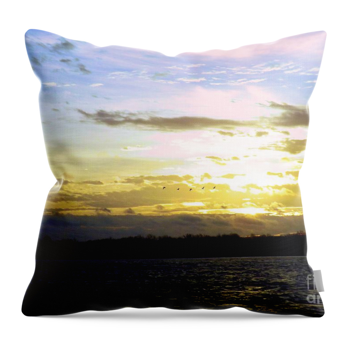 Delaware River Throw Pillow featuring the photograph Follow the Sun by Robyn King