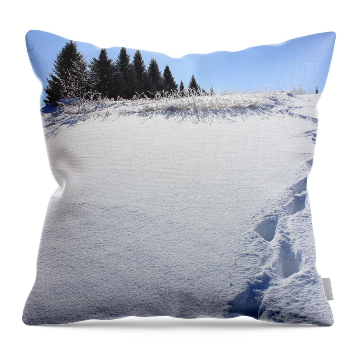 Snow Throw Pillow featuring the photograph Footprints in the Snow by Penny Meyers
