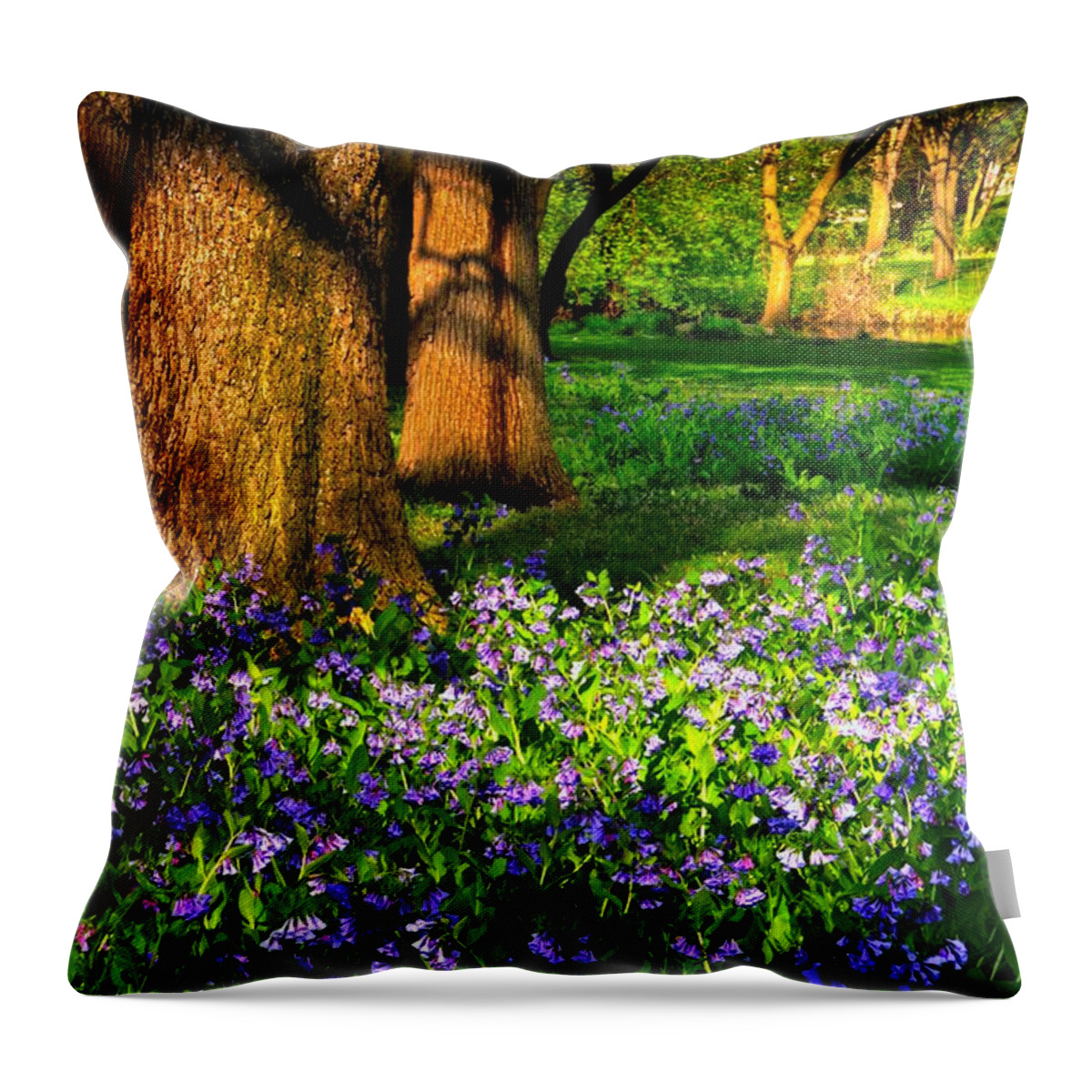 Flowers Throw Pillow featuring the photograph For Whom The Bells Toll by John Absher