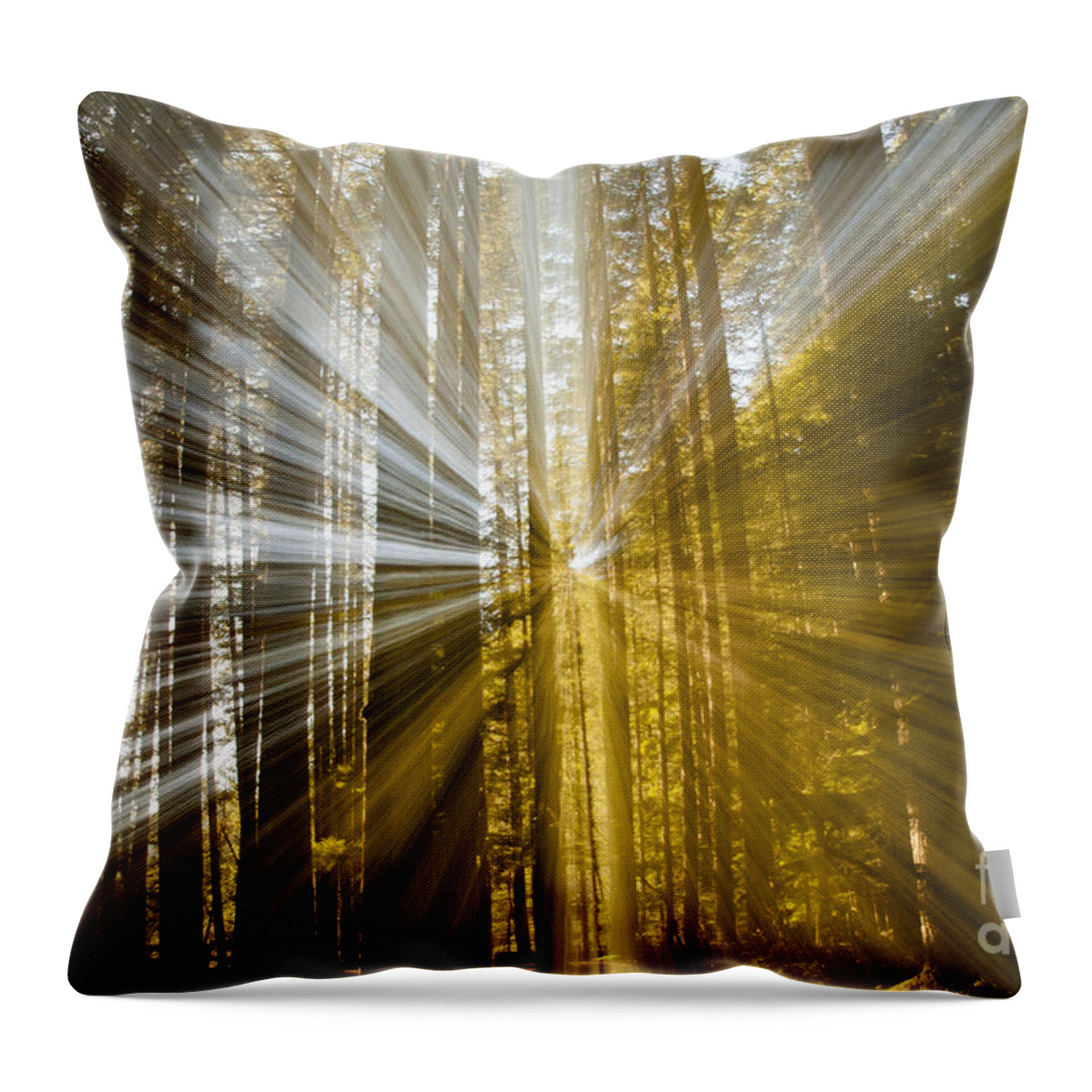 Forest Throw Pillow featuring the photograph Forest Abstract by Vivian Christopher