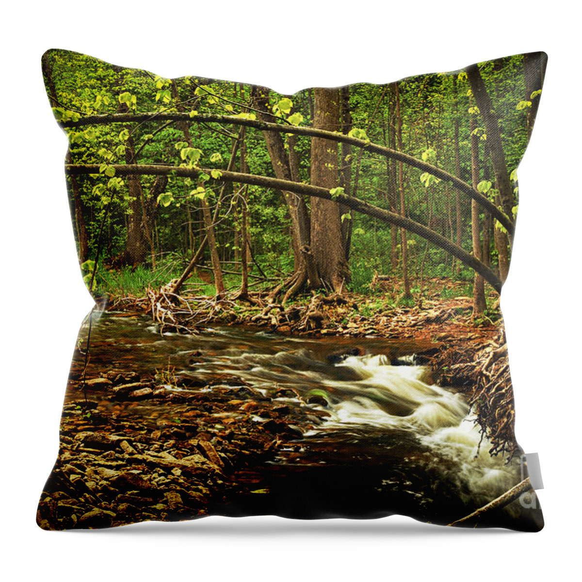 Waterfall Throw Pillow featuring the photograph Forest river by Elena Elisseeva