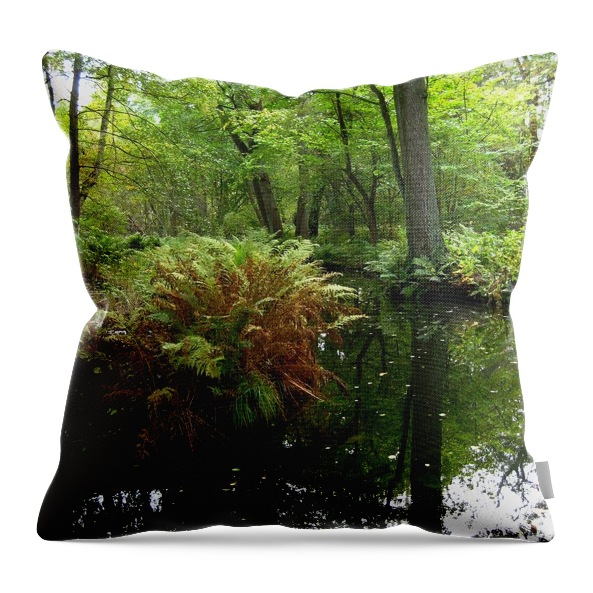 Forest Throw Pillow featuring the photograph Forestlake by Susanne Baumann