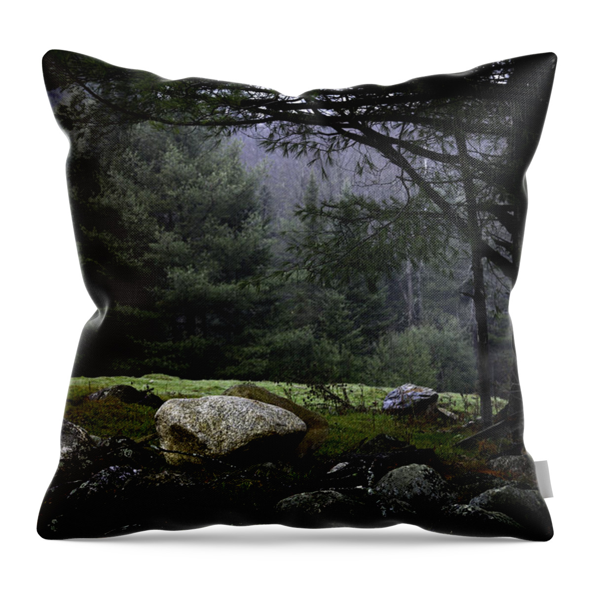 Forest Throw Pillow featuring the photograph Forest's Edge by Lisa Bryant