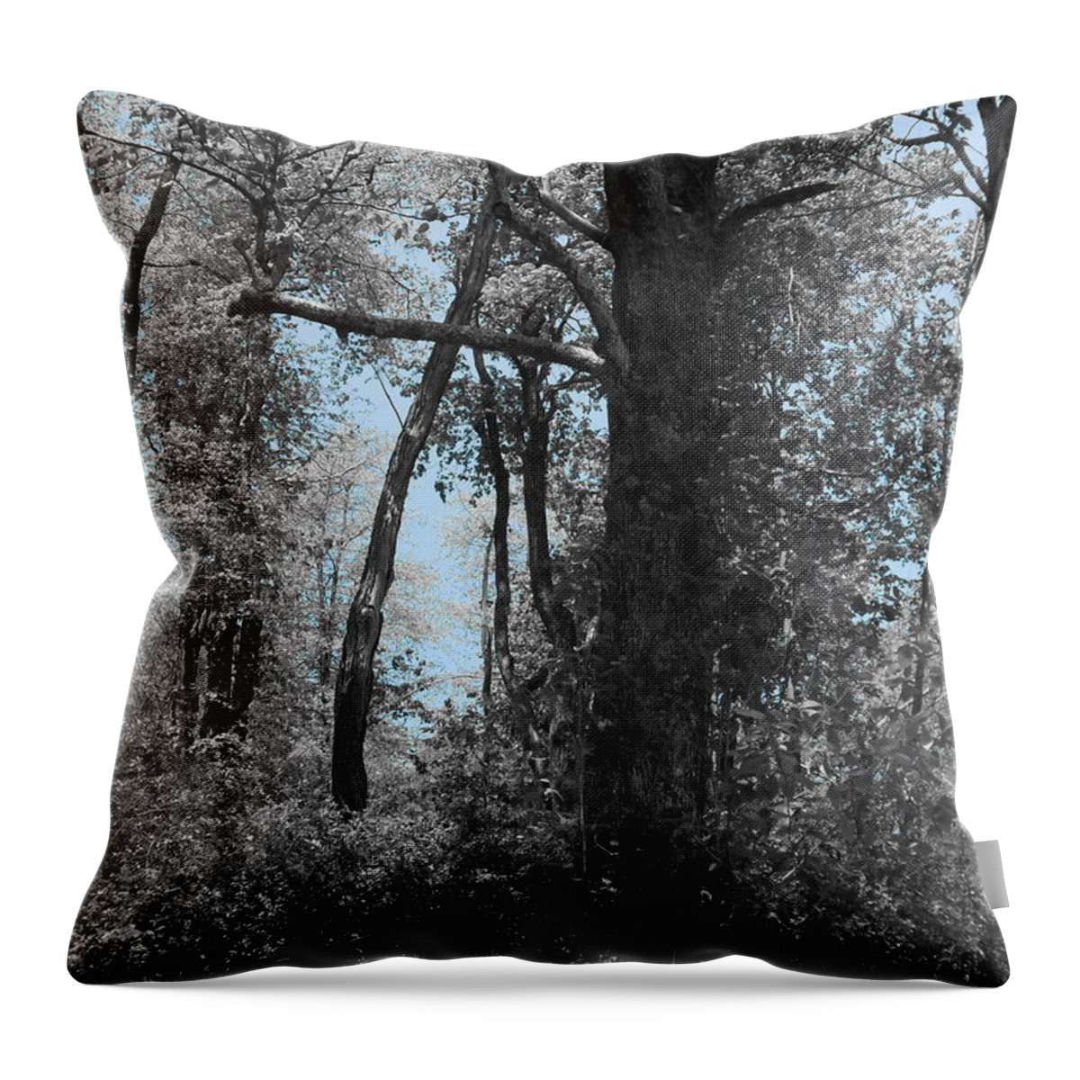 Cross Throw Pillow featuring the photograph Forgiveness by Diannah Lynch