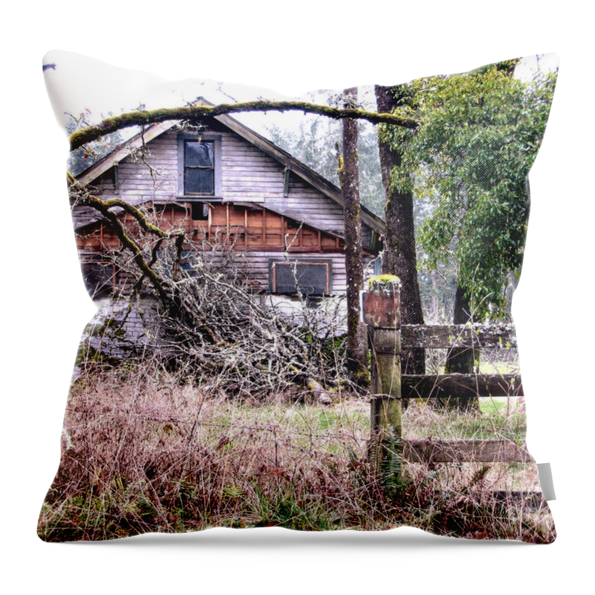 Landscape Throw Pillow featuring the photograph Forgotten Dreams by Rory Siegel