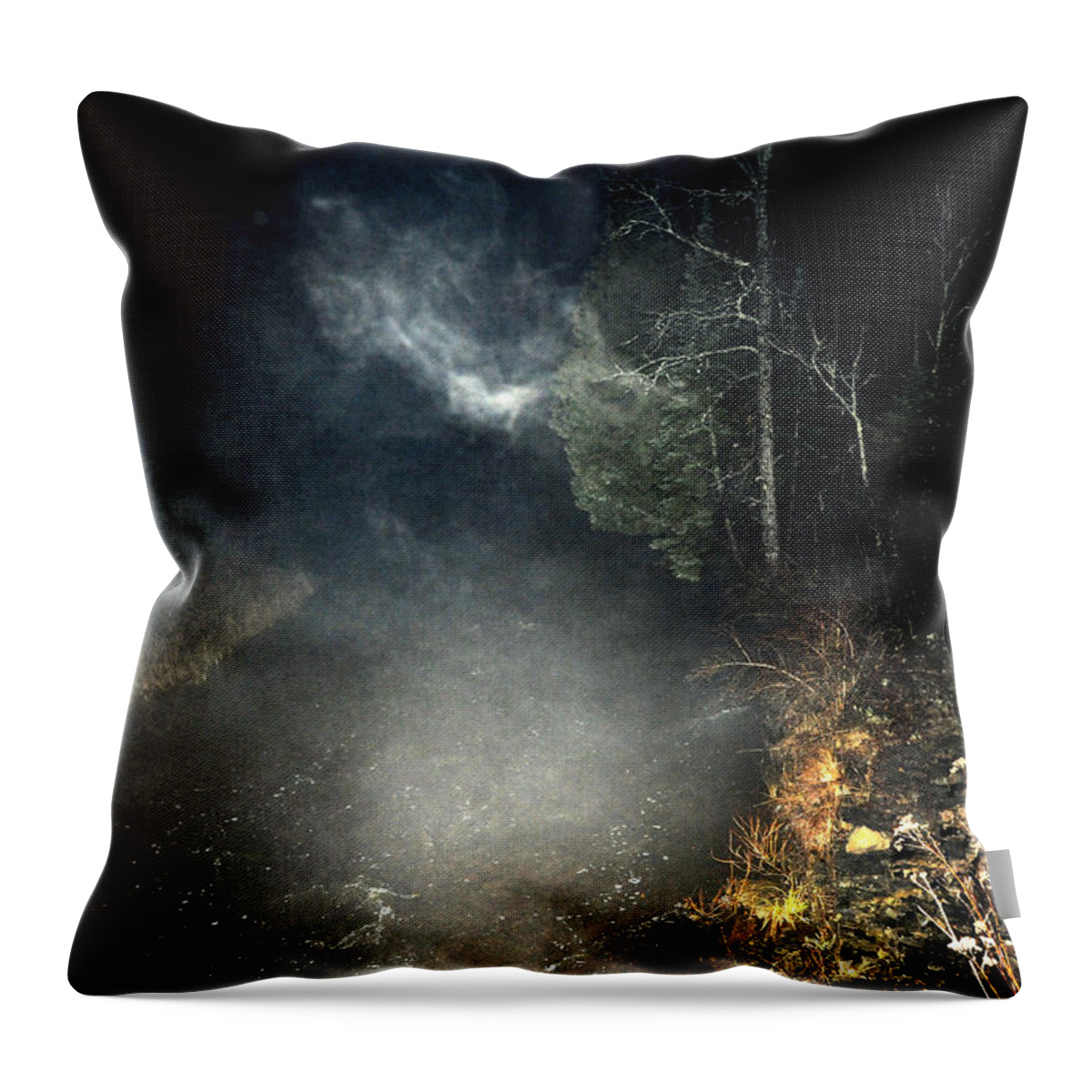 Form Throw Pillow featuring the photograph Form Follows Thought by Steven Dunn