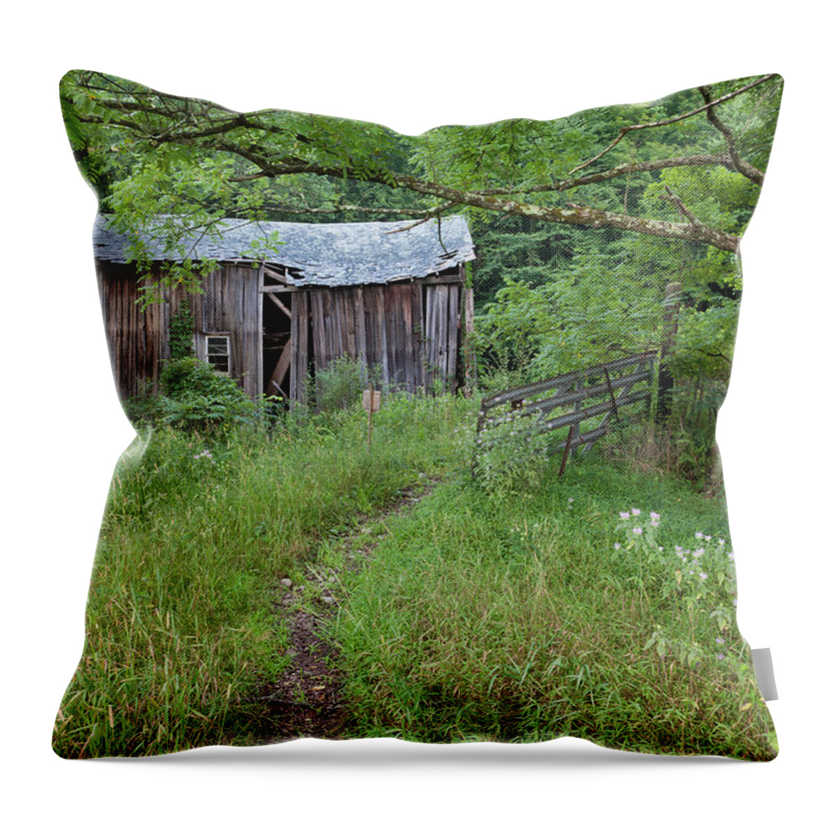 Barn Throw Pillow featuring the photograph Forsaken Farm by Denise Bush