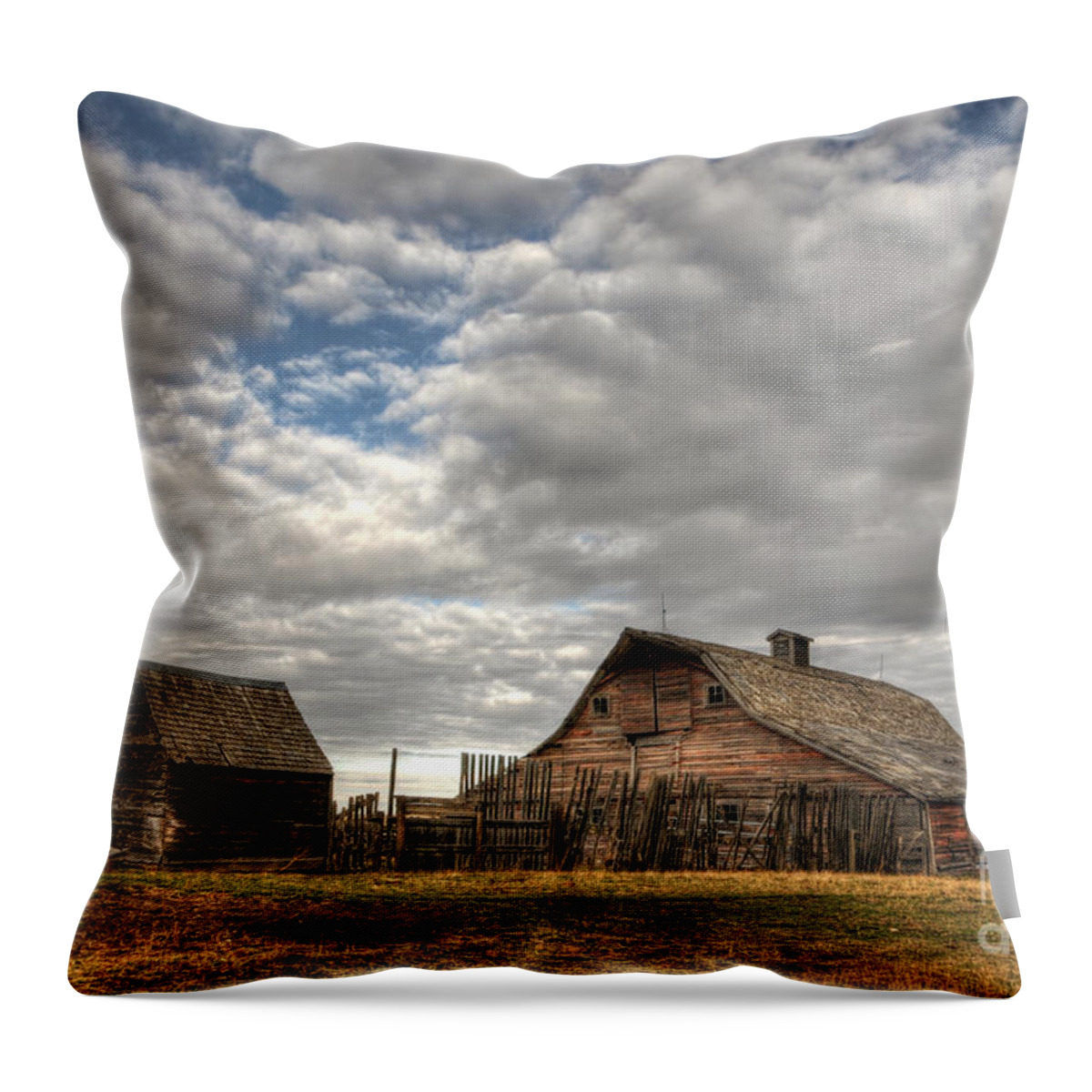 Old Throw Pillow featuring the photograph Found on the Prairies by Vivian Christopher