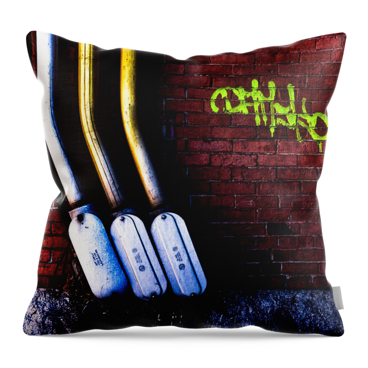Foundation Throw Pillow featuring the photograph Foundation Number E7 by Bob Orsillo