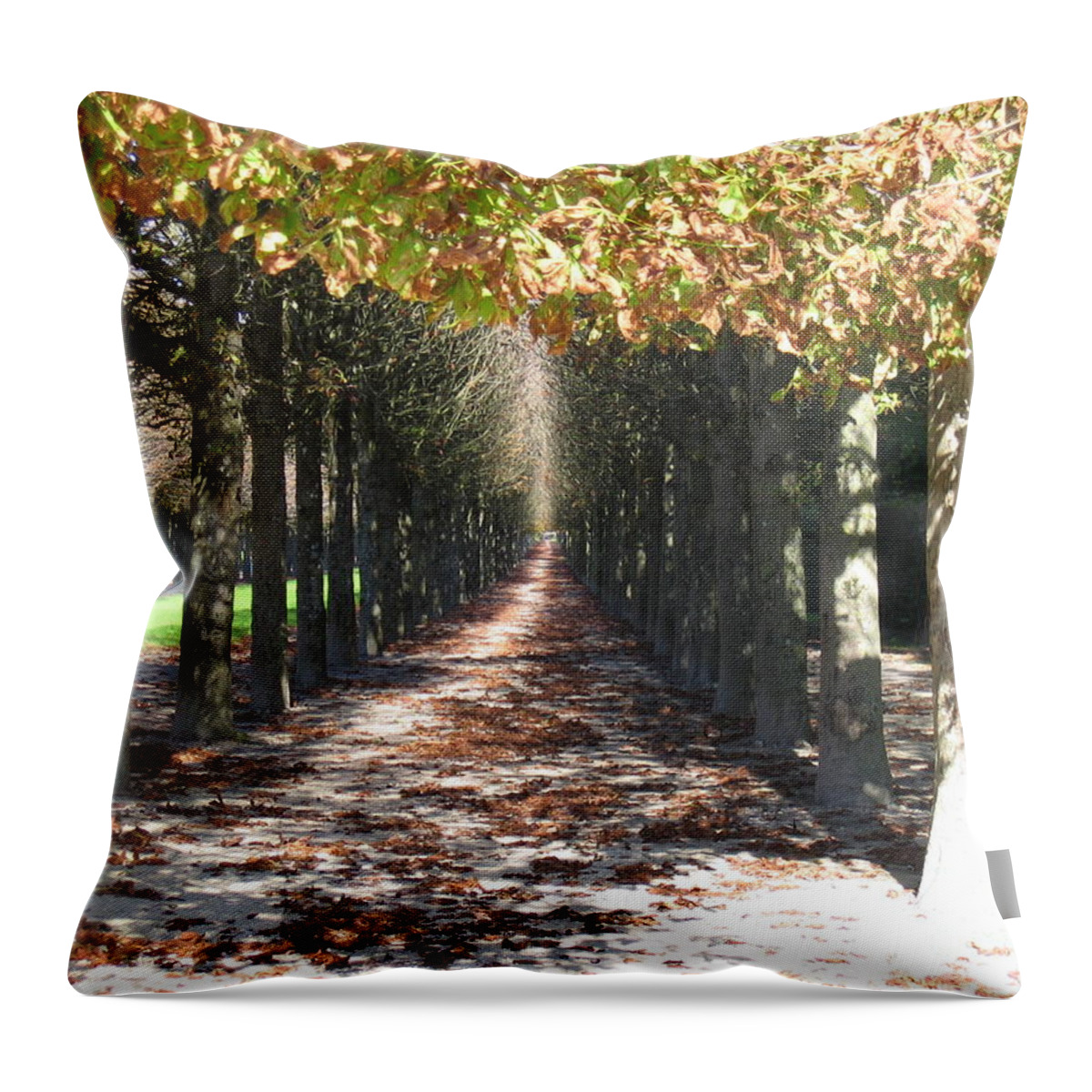 Treelined Path Throw Pillow featuring the photograph Fountainebleau - Under the trees by HEVi FineArt