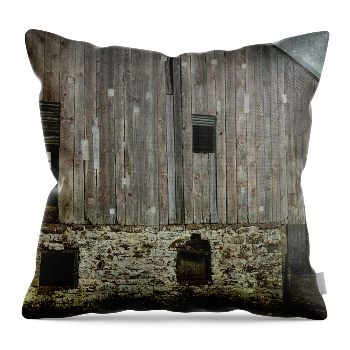 Building Throw Pillow featuring the photograph Four Broken Windows by Joan Carroll