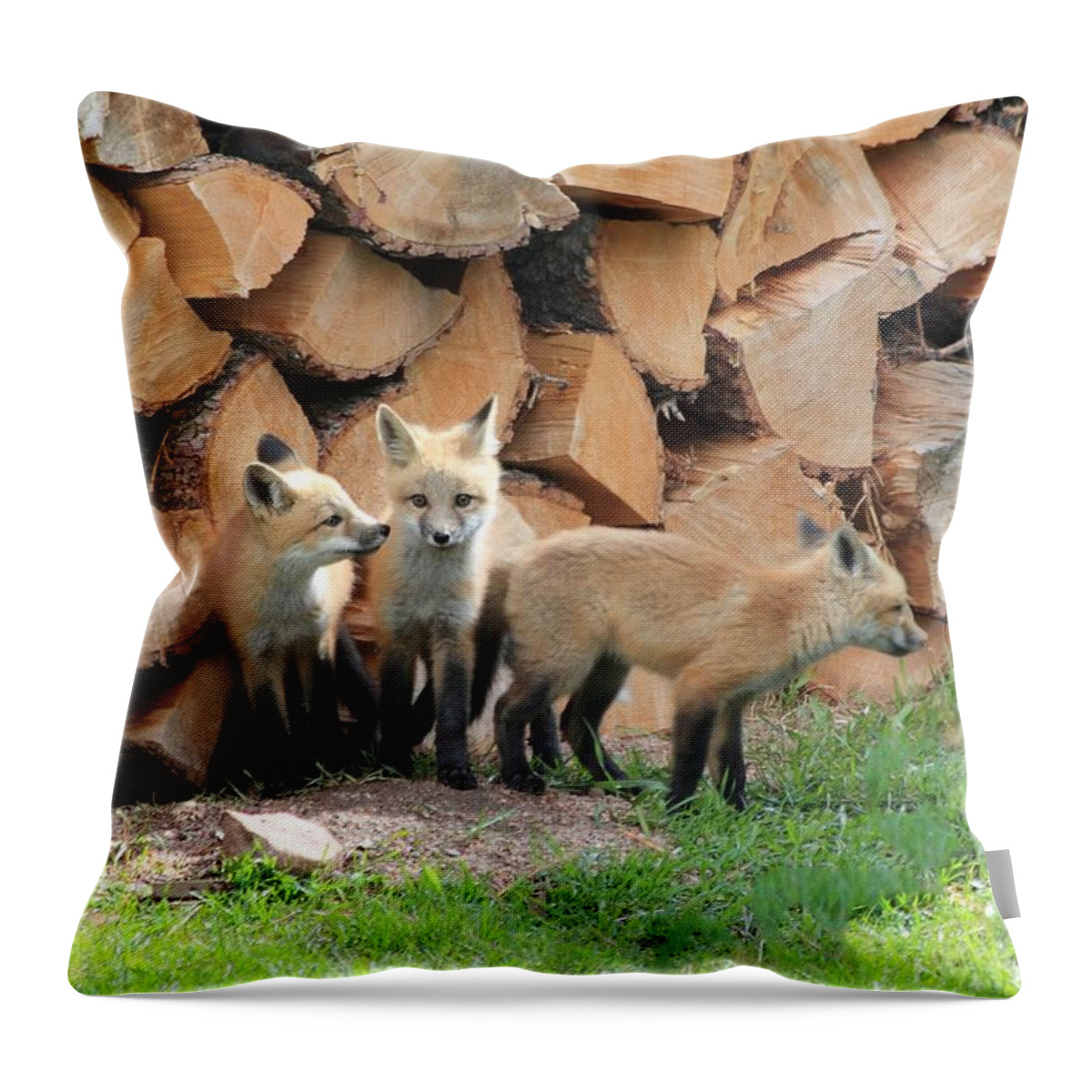 Fox Throw Pillow featuring the photograph Fox Kits by Shane Bechler