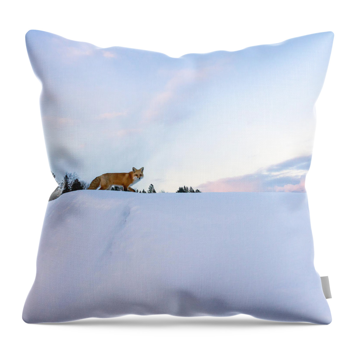 Red Fox Throw Pillow featuring the photograph Fox of the North III by Mary Amerman