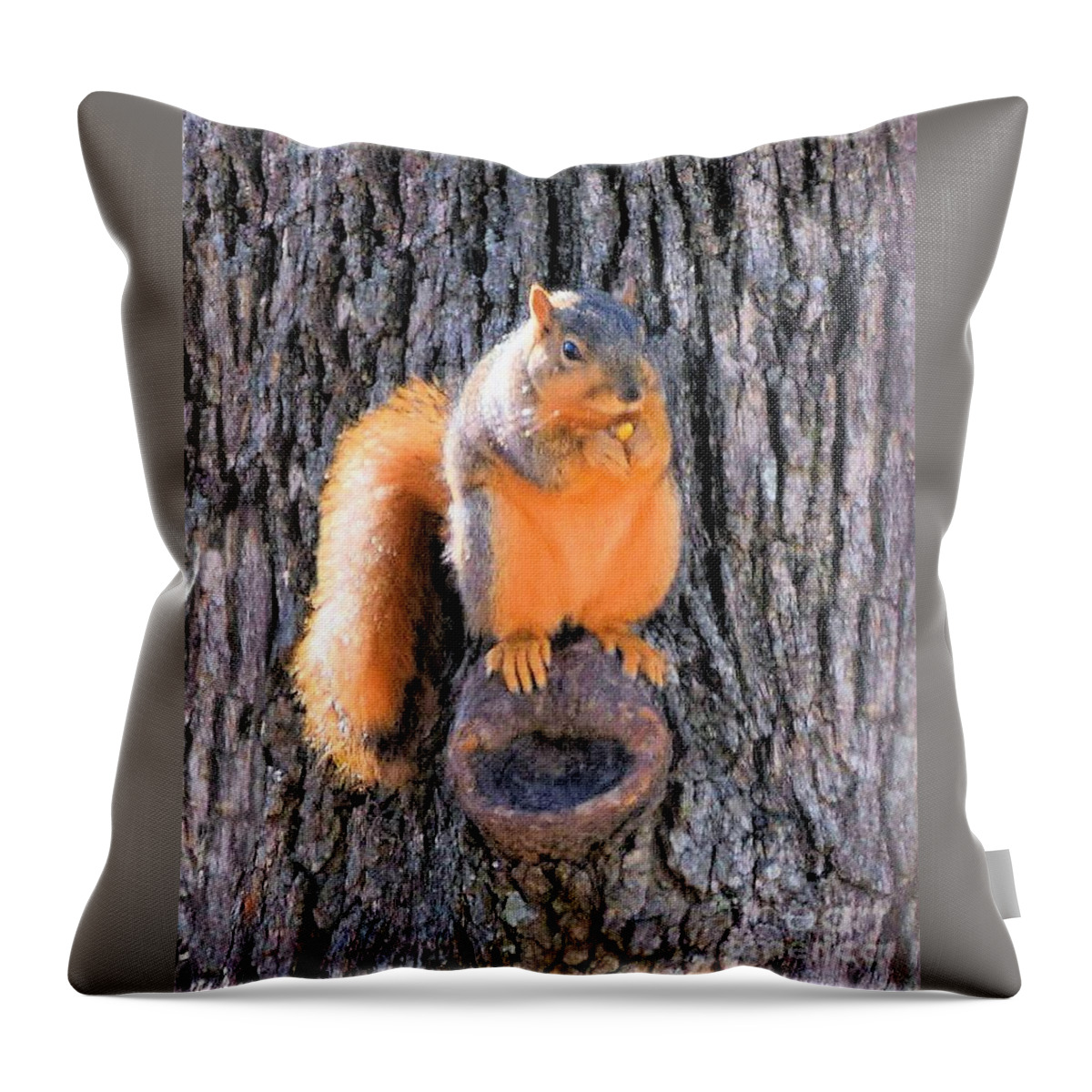 Fox Squirrel Throw Pillow featuring the photograph Fox Squirrel on Bur Oak Tree by Janette Boyd