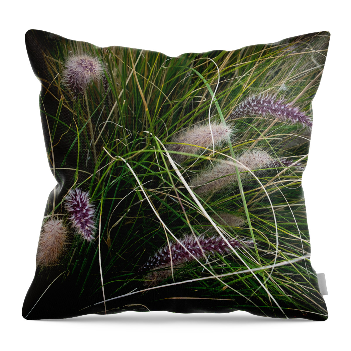 Plants Throw Pillow featuring the photograph Foxy by Glenn DiPaola
