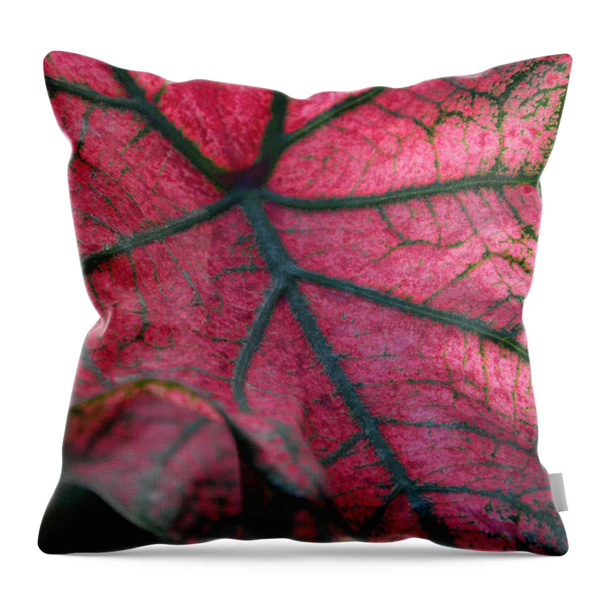 Plants Throw Pillow featuring the photograph Fractal Micropolis by Erin Morie