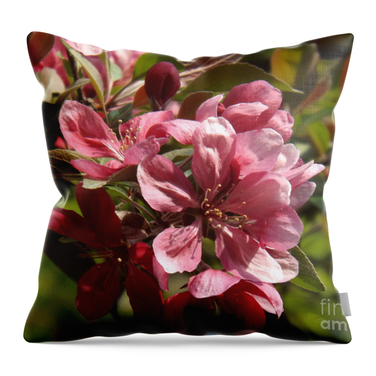 Crab Throw Pillow featuring the photograph Fragrant Crab Apple Blossoms by Brenda Brown