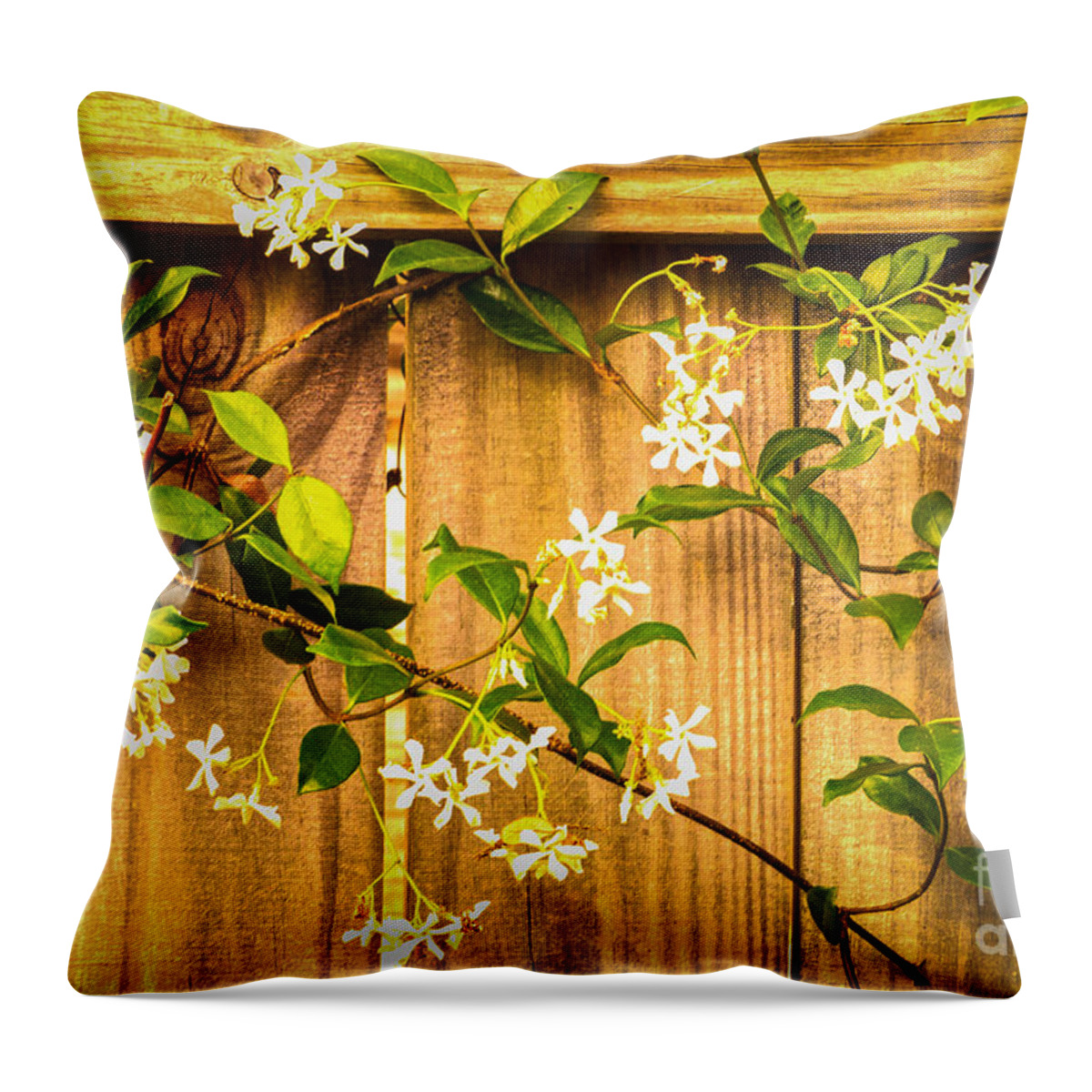 Bob And Nancy Kendrick Throw Pillow featuring the photograph Fragrant Jasmine by Bob and Nancy Kendrick