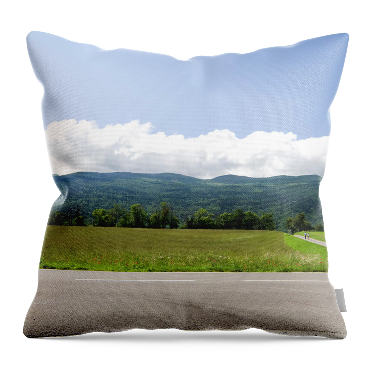 Scenics Throw Pillow featuring the photograph France Countryside by Angelafoto