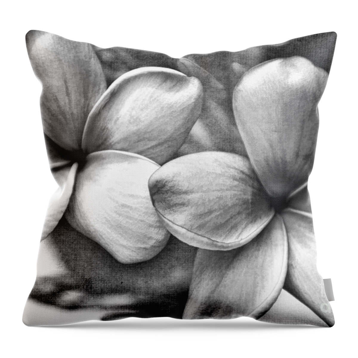 Monochrome Throw Pillow featuring the photograph Frangipani In Black And White by Peggy Hughes
