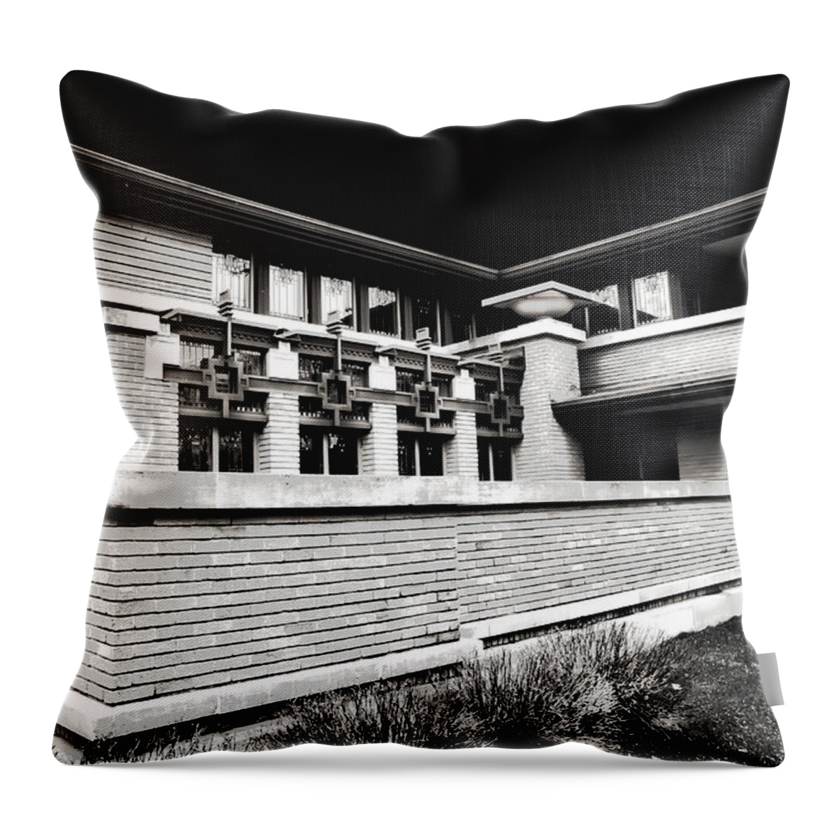 Evie Throw Pillow featuring the photograph Frank Lloyd Wright in Black and White by Evie Carrier