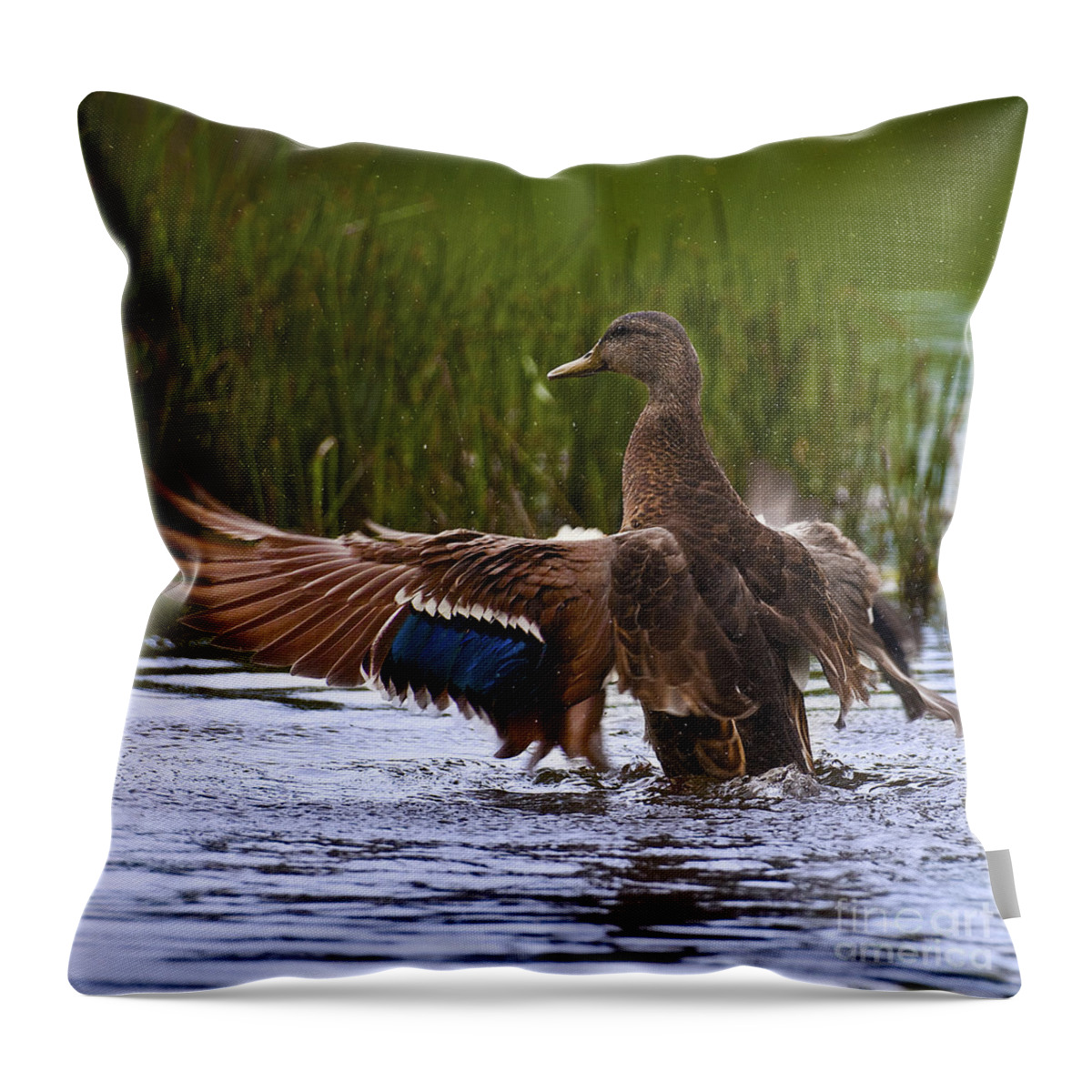 Canada Throw Pillow featuring the photograph Free Beauty.. by Nina Stavlund