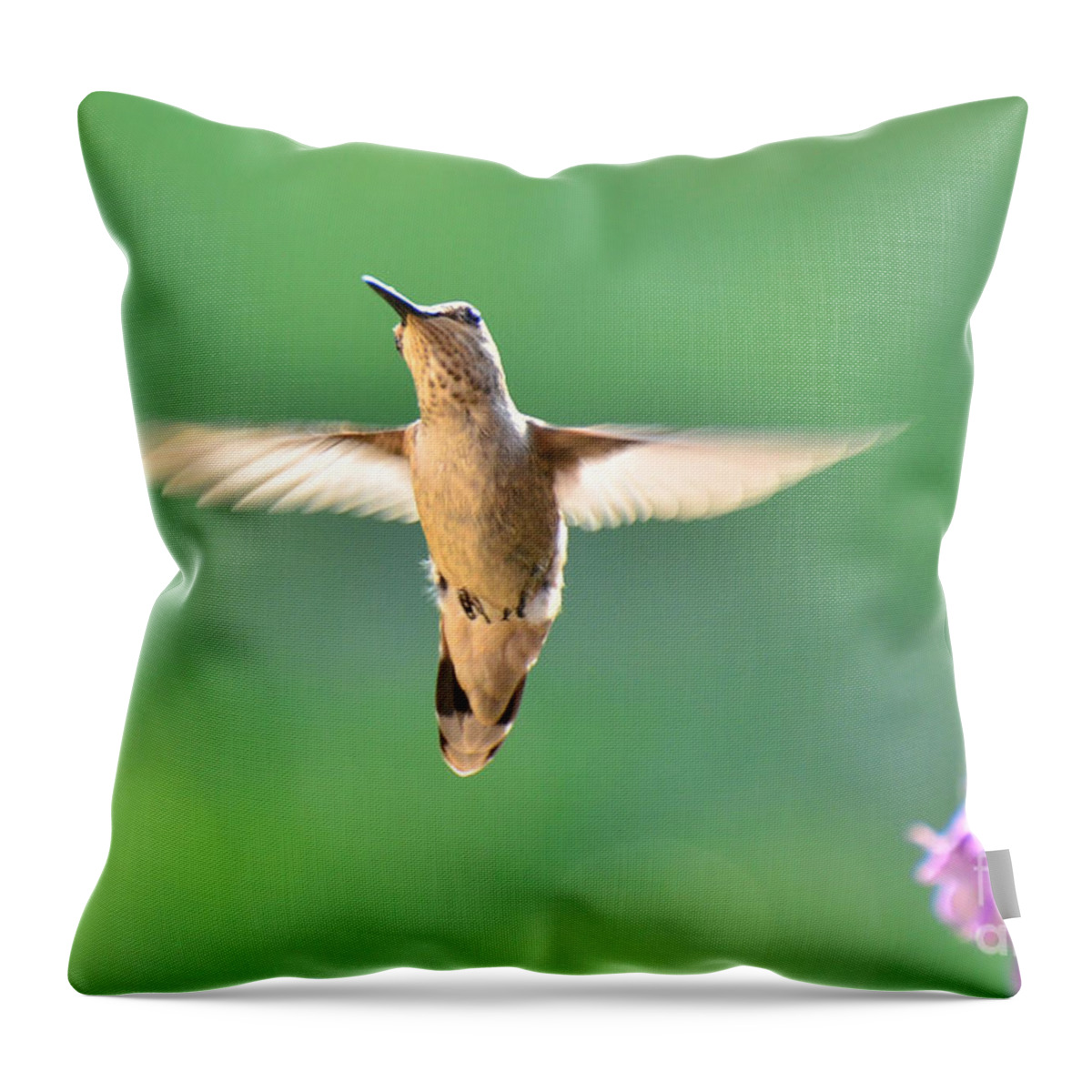 Hummingbird Throw Pillow featuring the photograph Free to Dance by Debby Pueschel