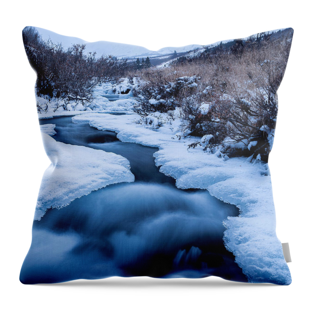 Alaska Throw Pillow featuring the photograph Freezing Over by Tim Newton