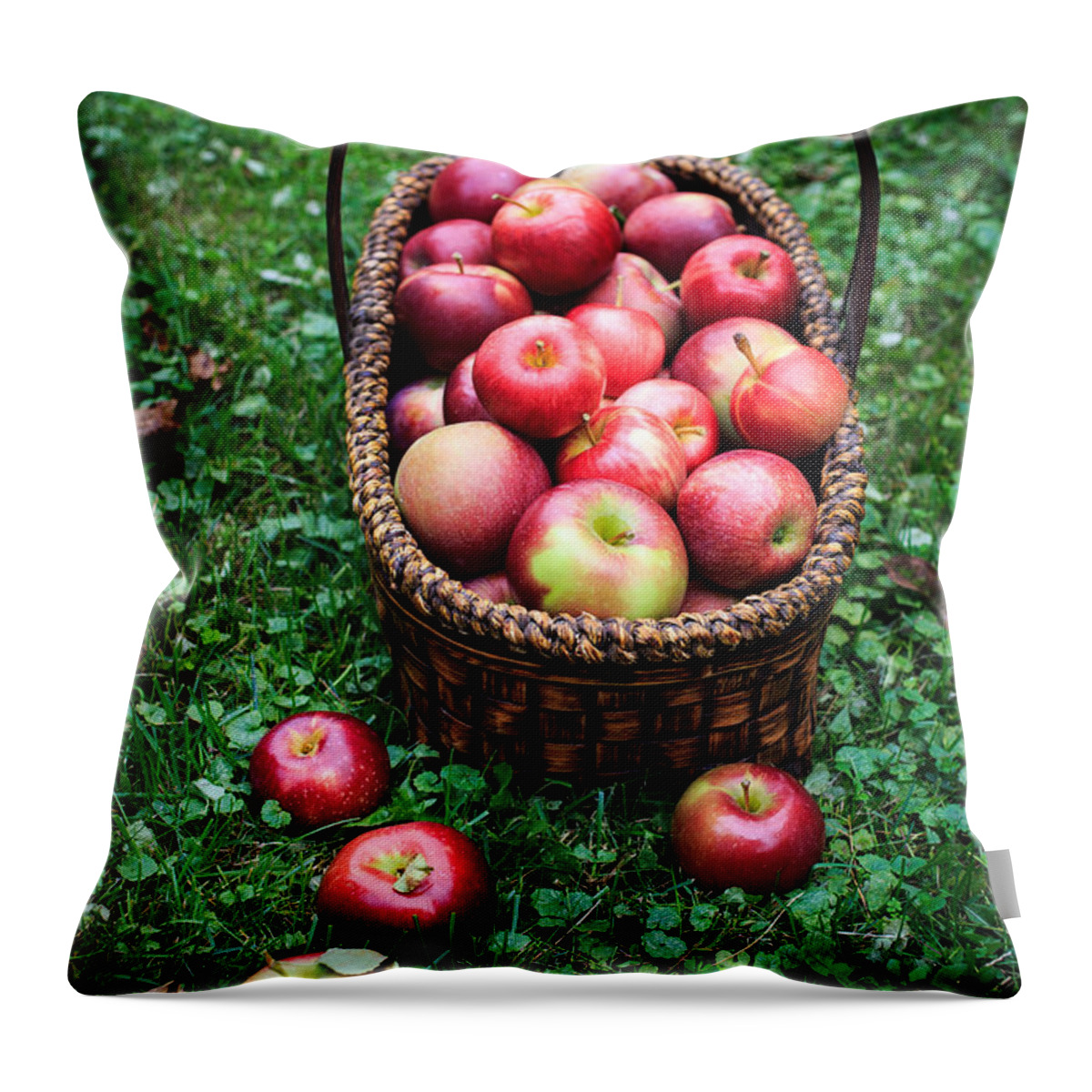 Food Throw Pillow featuring the photograph Fresh picked apples by Edward Fielding