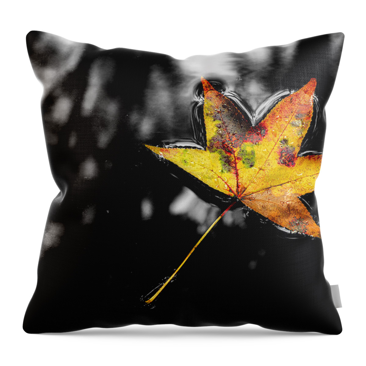Floating Leaf Throw Pillow featuring the photograph Fresh Season by Michael Eingle