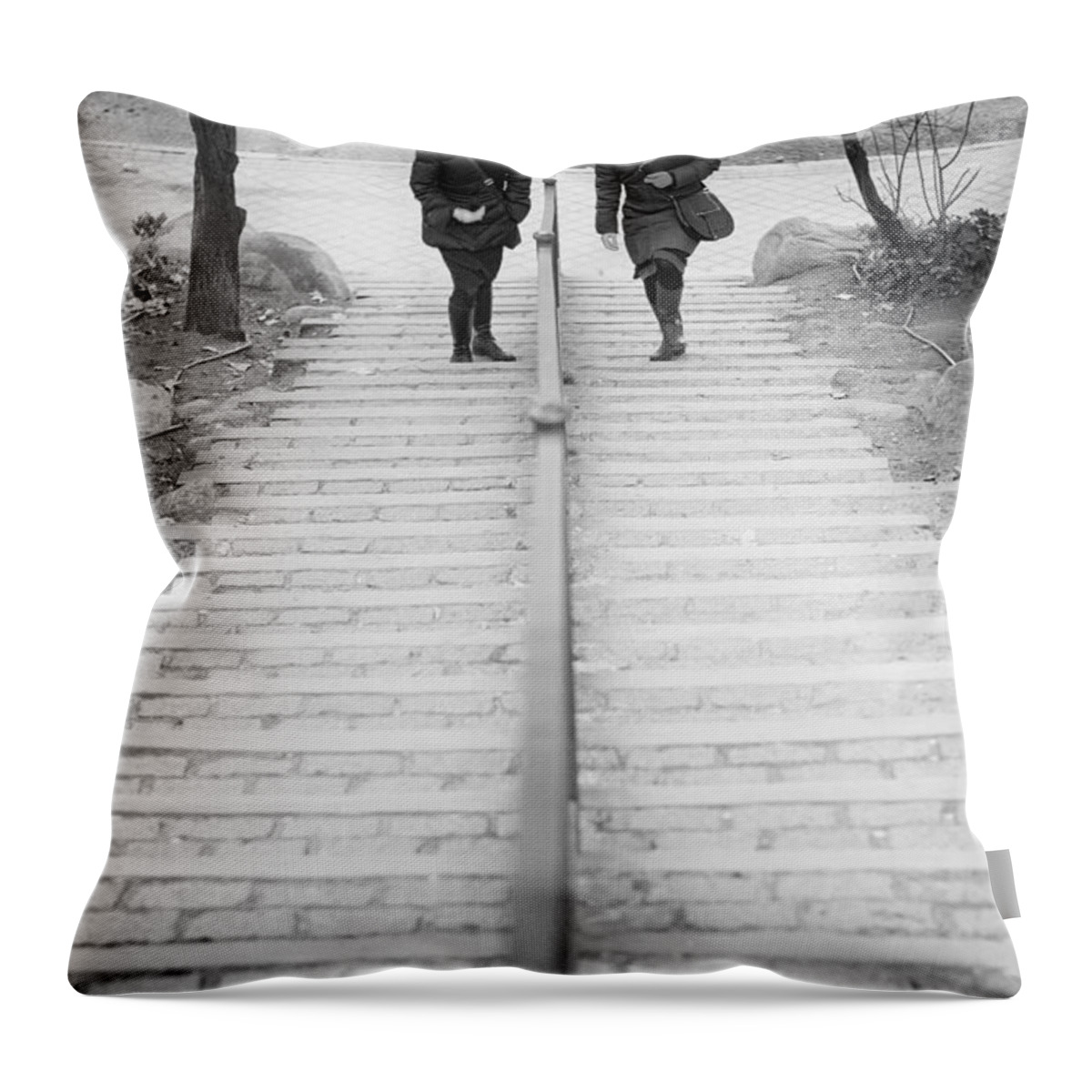 Friends Throw Pillow featuring the photograph Friends by Pablo Lopez