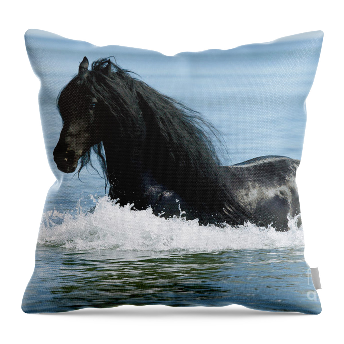Friesian Throw Pillow featuring the photograph Friesian Horse by Gabriele Boiselle